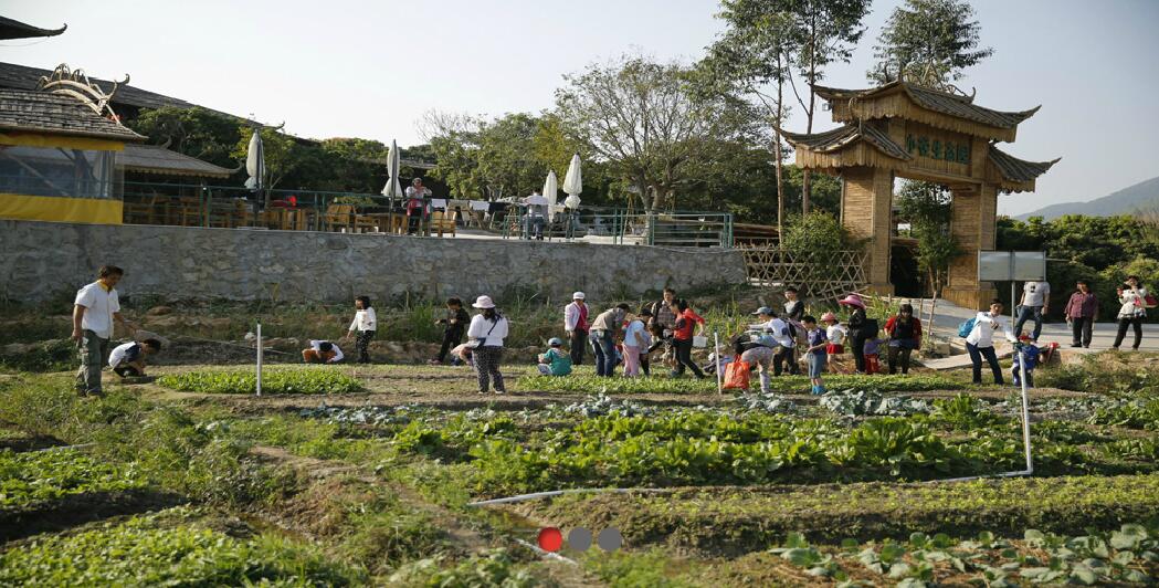 春暖花開，我們去春游！